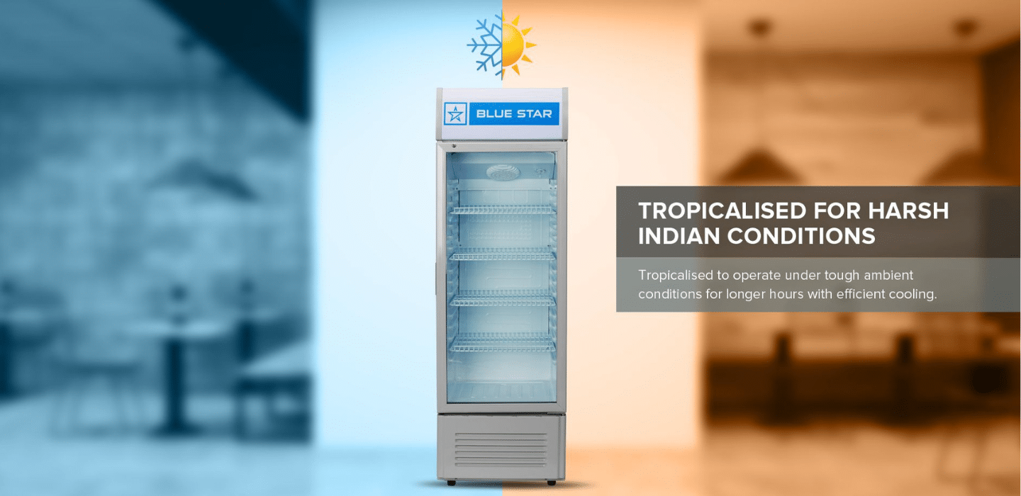 Blue Star 250 Liters Visi Cooler (VC250GD) Tropicalised for Indian Weather