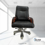 Dolphin DF 14 Premium Executive Office Chair Front View with Background