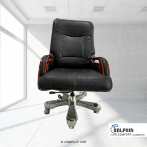 Dolphin DF 14 Premium Executive Office Chair Front View with Background