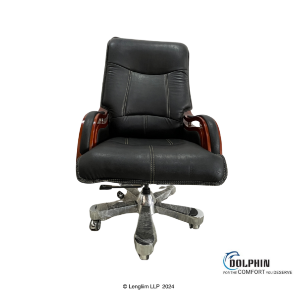 Dolphin DF 14 Premium Executive Office Chair Front View with Background Front View