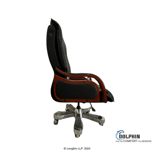 Dolphin DF 14 Premium Executive Office Chair Front View with Background Left Side View