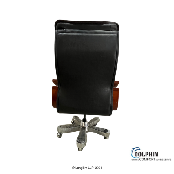 Dolphin DF 14 Premium Executive Office Chair Front View with Background Back View