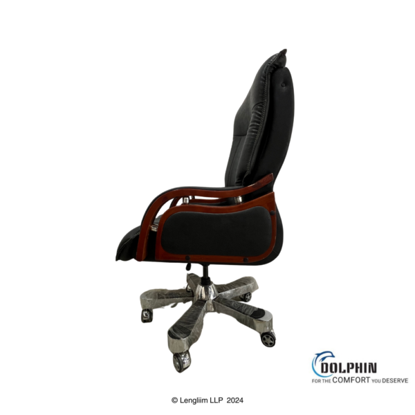 Dolphin DF 14 Premium Executive Office Chair Front View with Background Right Side View