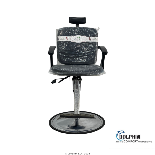 Dolphin DF 173 Salon Chair Front View