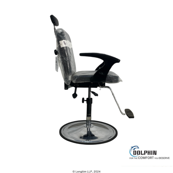 Dolphin DF 173 Salon Chair Right View