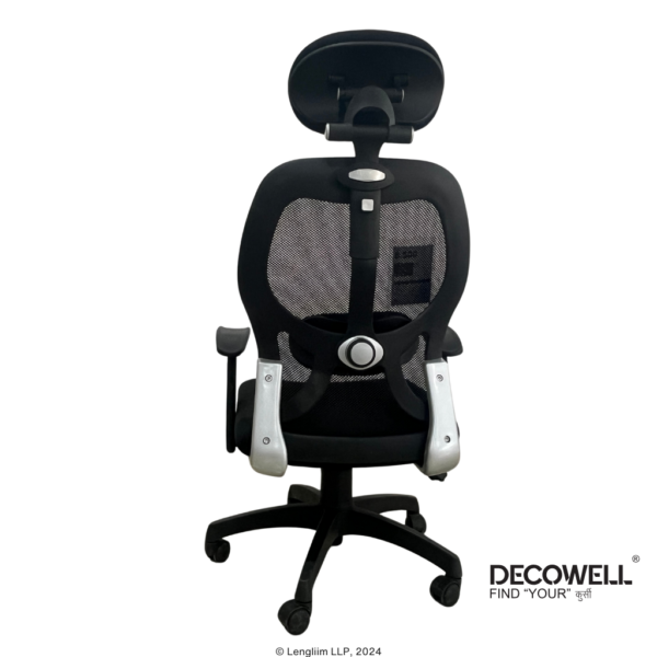 Dolphin DF 82 Mesh Office Chair (Adjustable Arms) Back View