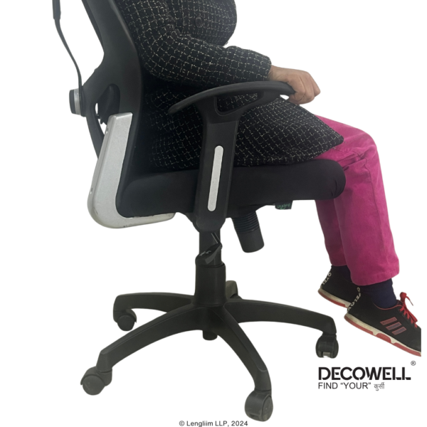 Dolphin DF 82 Mesh Office Chair (Adjustable Arms) Back Rest Adjustable Before