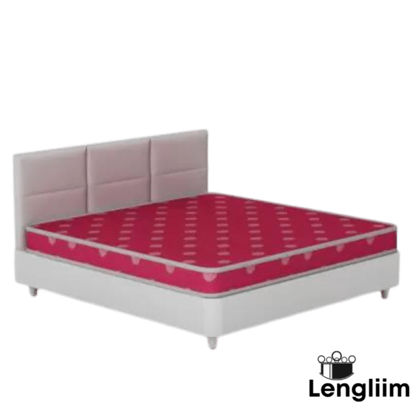 Godrej Interio Queen Size Mattress Lotus Pro 78x60x5 with Bed