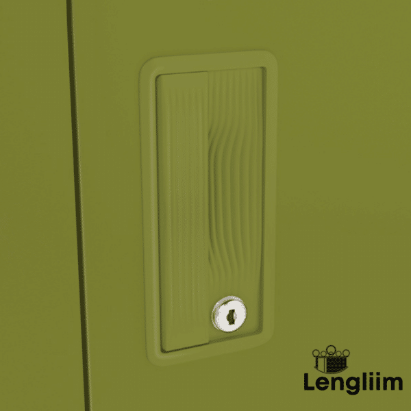 Godrej Interio Slimline 2 Door Almirah (4 Shelves, Textured Leaf Green) Door Handle View