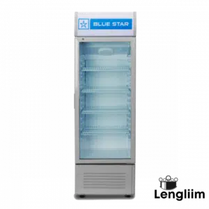 Blue Star 250 Liters Visi Cooler (VC250GD) Front VIew
