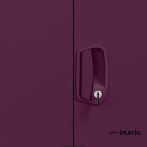 Godrej Interio Neolite 2 Door Steel Almirah (Mulberry) Door Handle