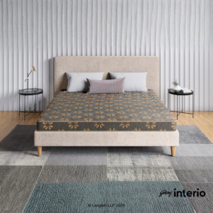 Godrej Interio Mattress Dr Jogy King Size 5 Inches (78 72 5)
