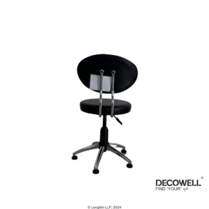 Dolphin DF 162 Revolving Stool with Back Panel Back View