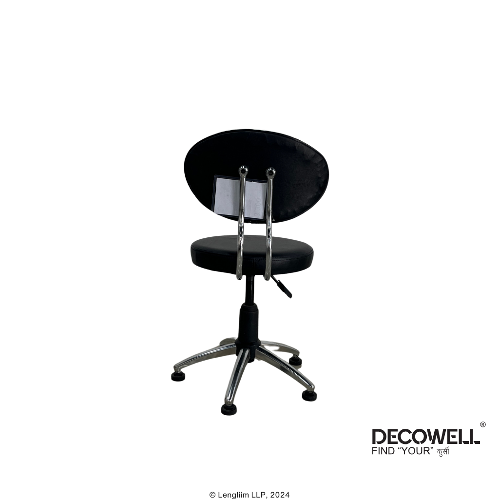 Dolphin DF 162 Revolving Stool with Back Panel Back View