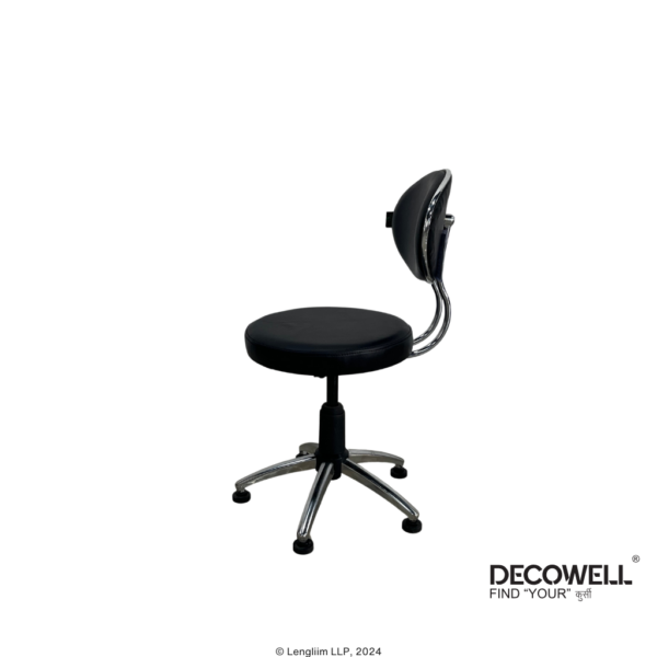 Dolphin DF 162 Revolving Stool with Back Panel Left View