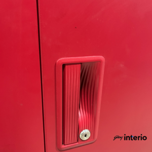 Godrej Interio Slimline 2 Door Almirah (2 Shelves, Ceremi Red) Door Handle