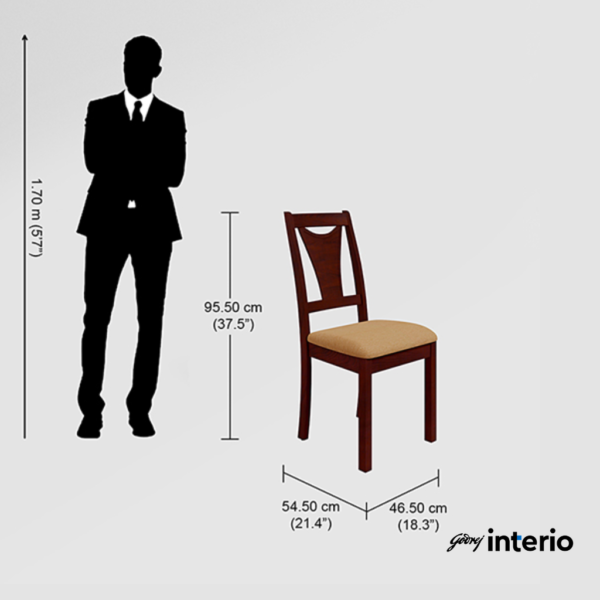 Godrej Interio Swish Dining Chair (Mahogony) Dimensions