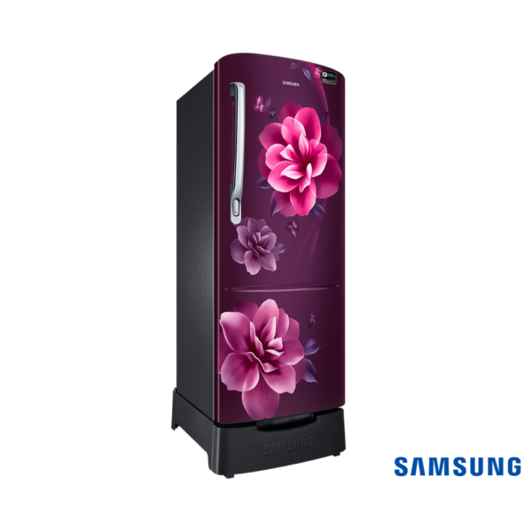 Samsung 223 Liters 3 Star Single Door Fridge with Base Stand Drawer (Camellia Purple, RR24C2823CR) Front Angle View