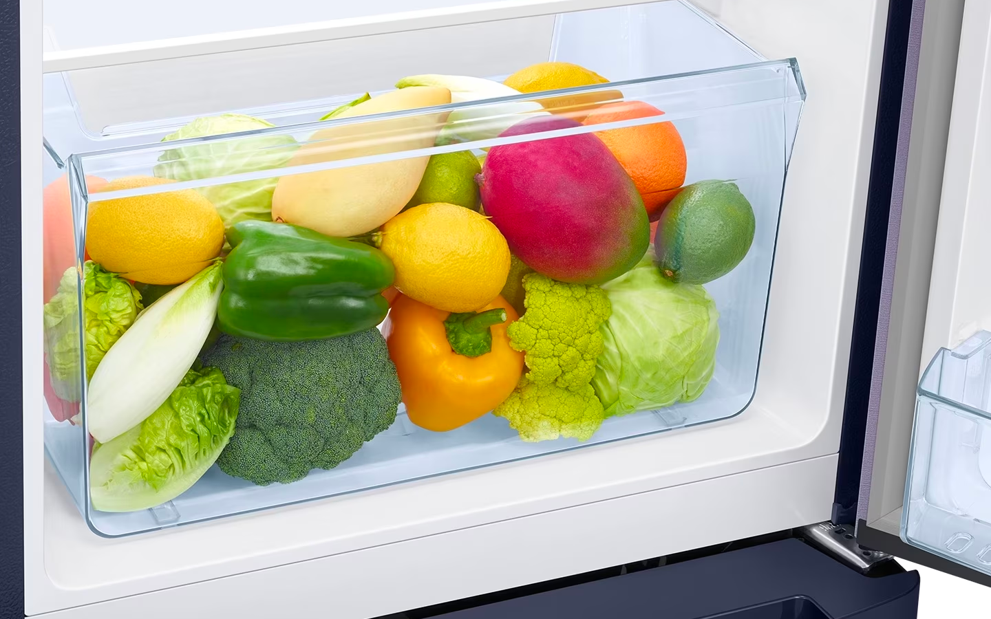 Samsung Fridge Premium Vegetable Box