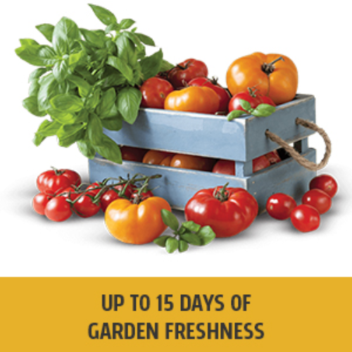 Whirlpool Intellifresh Double Door Fridge Upto 15 Days of Garden Freshness