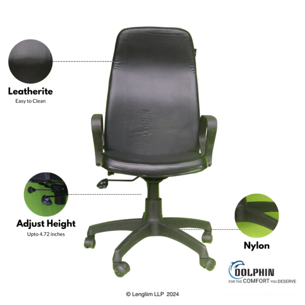 Dolphin DF 107 High Back Office Chair Front View with Features