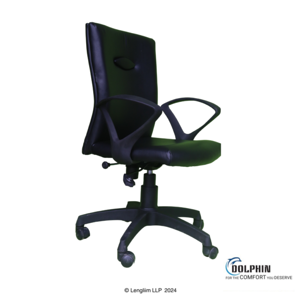 Dolphin DF 119 Medium Back Office Chair Front Angle View