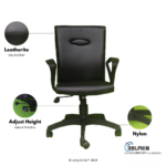 Dolphin DF 119 Medium Back Office Chair Front View Features