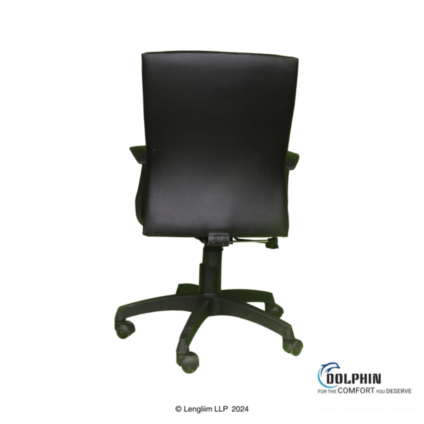 Dolphin DF 119 Medium Back Office Chair Back View