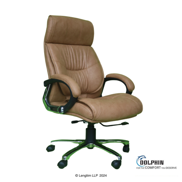 Dolphin DF 15 High Back Leatherite Office Chair Front Angle View