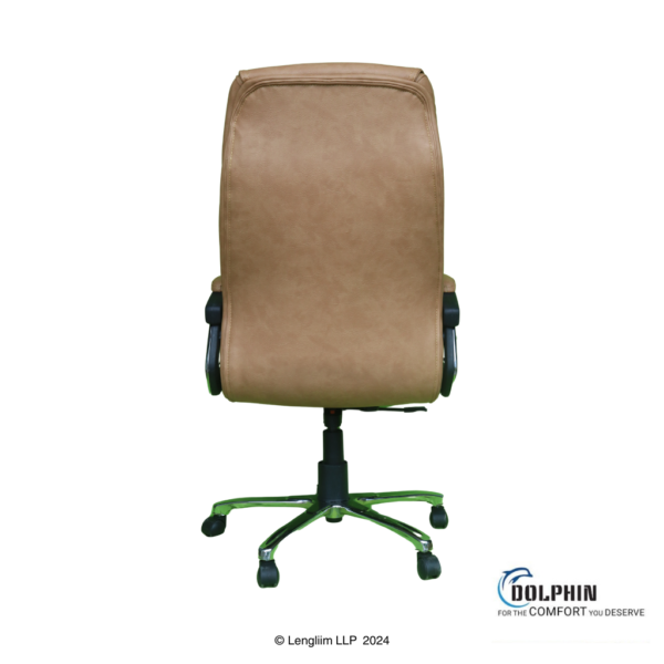 Dolphin DF 15 High Back Leatherite Office Chair Back View