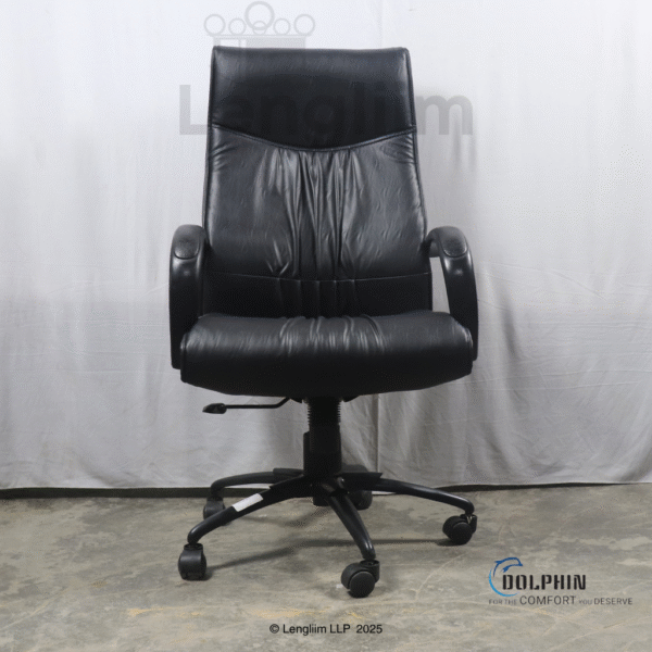 Dolphin DF 66 High Back Leatherite Office Chair Front View