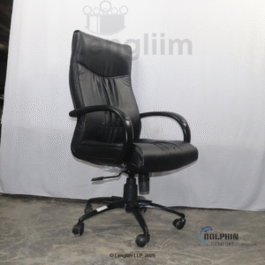 Dolphin DF 66 High Back Leatherite Office Chair Front Angle View
