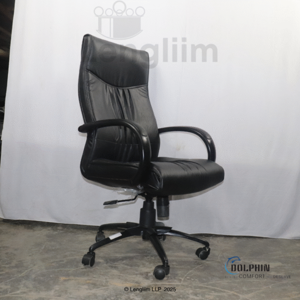 Dolphin DF 66 High Back Leatherite Office Chair Front Angle View