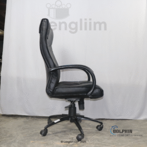 Dolphin DF 66 High Back Leatherite Office Chair Side View