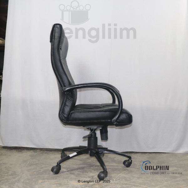 Dolphin DF 66 High Back Leatherite Office Chair Side View