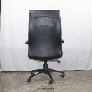 Dolphin DF 66 High Back Leatherite Office Chair Back View