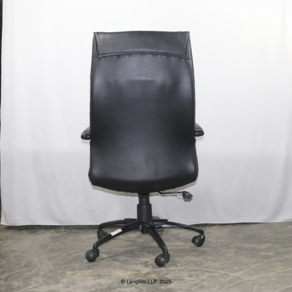 Dolphin DF 66 High Back Leatherite Office Chair Back View