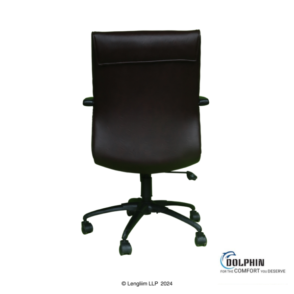 Dolphin DF 66 High Back Leatherite Office Chair Back View