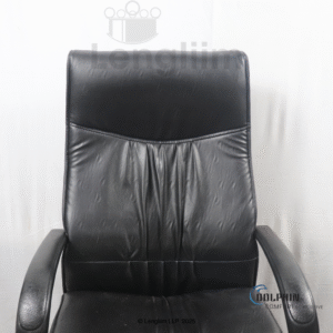 Dolphin DF 66 High Back Leatherite Office Chair Back Rest View