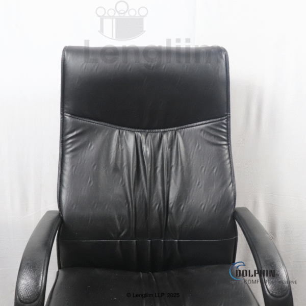 Dolphin DF 66 High Back Leatherite Office Chair Back Rest View