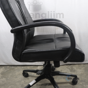 Dolphin DF 66 High Back Leatherite Office Chair Arm Rest View