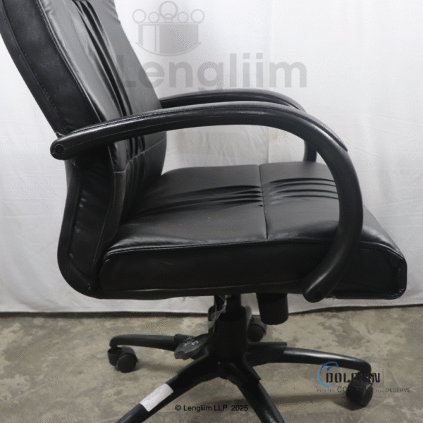 Dolphin DF 66 High Back Leatherite Office Chair Arm Rest View
