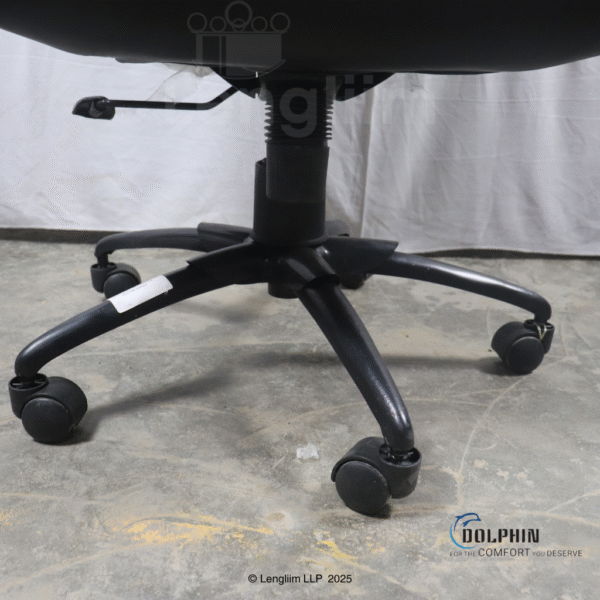 Dolphin DF 66 High Back Leatherite Office Chair Base Stand View
