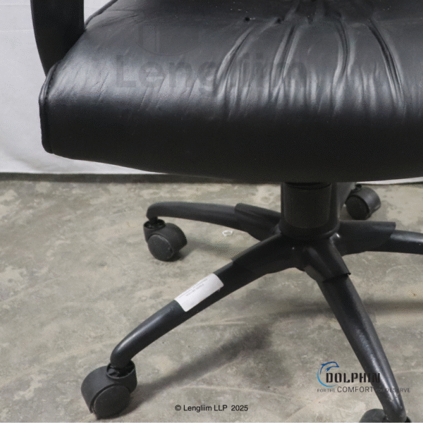 Dolphin DF 66 High Back Leatherite Office Chair Cushion View