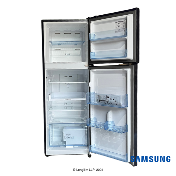 Samsung 236 Liters 2 Star Double Door Refrigerator (Camellia Blue, RT28C3022CU) Real Front View with Door Open