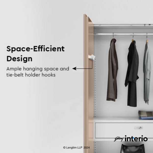 Godrej Interio Auraline Men Basic 2 Door Almirah (Textured Affogato) Space Efficient Design