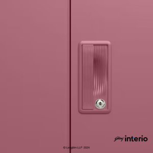 Godrej Interio Slimline 2 Door Almirah (2 Shelves, Dusty Rose) Door Handle