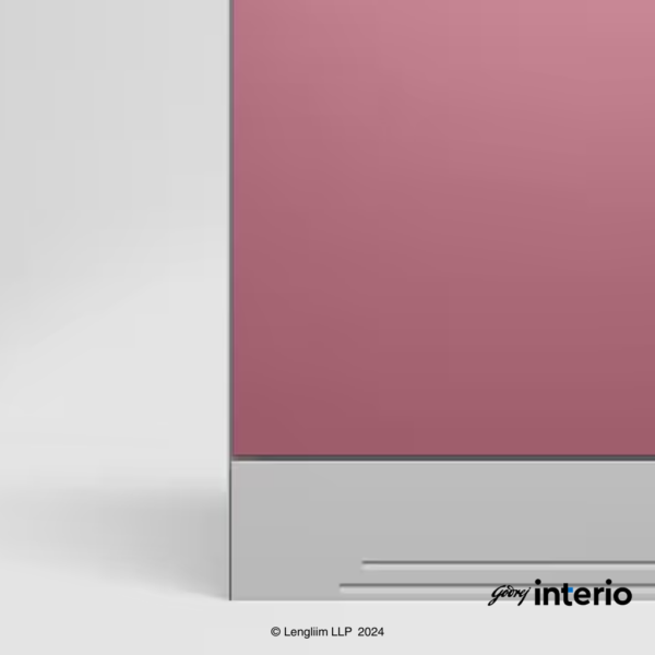 Godrej Interio Slimline 2 Door Almirah (Locker, Dusty Rose) Skirting