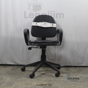 Dolphin DF 114 Budget Office Chair (Leatherite, Black) Front Image