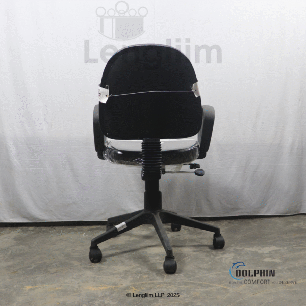 Dolphin DF 114 Budget Office Chair (Leatherite, Black) Back View